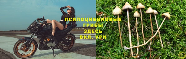 спиды Белоозёрский