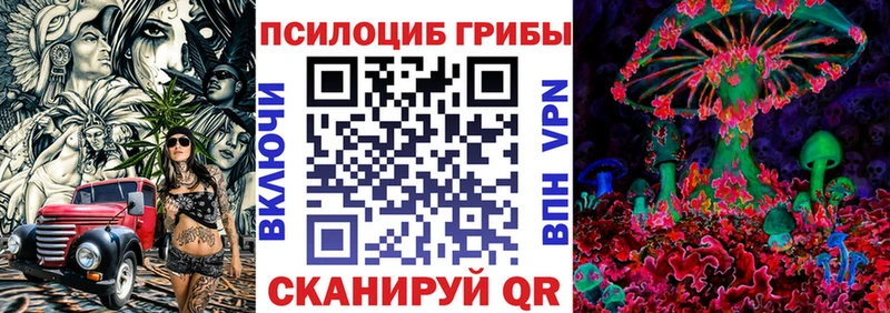 сколько стоит  MEGA как войти  Галлюциногенные грибы Magic Shrooms  Вятские Поляны 